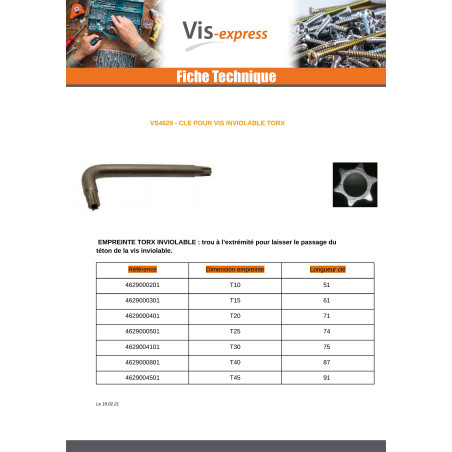 1 x Clé Pour Vis Inviolable TORX T30 Acier brut