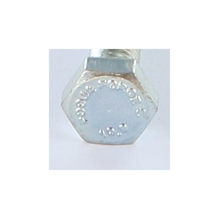 1 x Vis métaux Tête hexagonale TH M12X100 Classe 10.9 Acier zingué