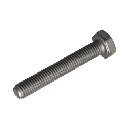1 x Vis métaux Tête hexagonale TH M10X65 Classe 8.8 Dacromet