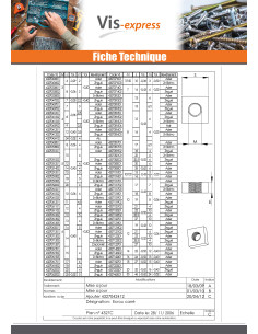 Ecrou carré M7 14X14X6 Pas de 100 Acier zingué 2