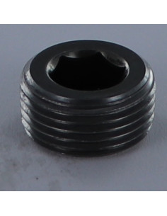 Bouchon Hexagonal creux M20 Pas de 150 Acier brut