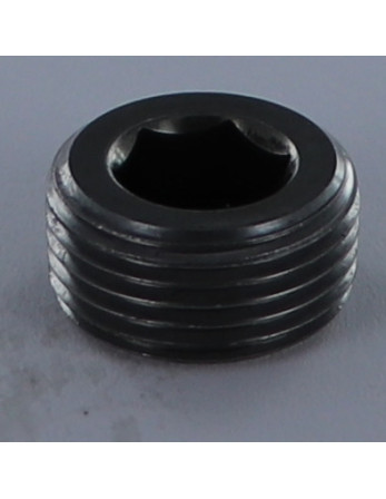 Bouchon Hexagonal creux M20 Pas de 150 Acier brut