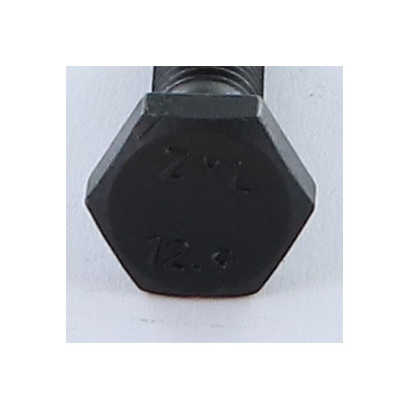 1 x Corps de boulon filetage partiel Tête hexagonale TH M10X45 Classe 12.9 Acier brut