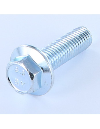 Vis métaux Tête hexagonale TH M12X40 Embase collerette crantée Acier zingué