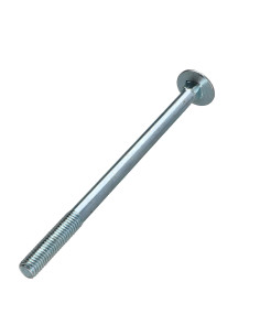 TRCC JAPY tête ronde collet carré M10X160 Filetage... 2