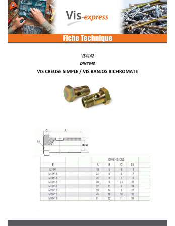 Vis creuse simple ou vis banjos Tête hexagonale TH M12X24 Pas fin Pas de 150 Acier zingué