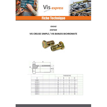 1 x Vis creuse simple ou vis banjos Tête hexagonale TH M12X24 Pas fin Pas de 150 Acier zingué