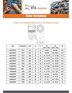 Écrou hexagonale SKM Tête ronde TR 10X3 Trapézoidale... 2
