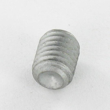1 x Vis métaux Sans tête six pans creux (sthc) Clé de 4 HC4 M8X10 Bout cuvette Acier brut Géomet 500A