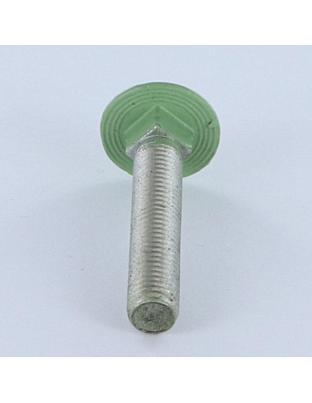 TRCC JAPY tête ronde collet carré M7X40 Pas de 100 Filetage total Aluminium RAL6021 vert pale 30%B