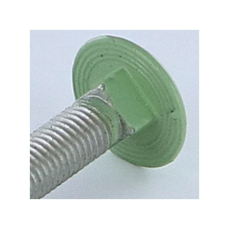 1 x TRCC JAPY tête ronde collet carré M7X40 Pas de 100 Filetage total Aluminium RAL6021 vert pale 30%B