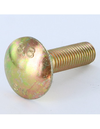 TRCC JAPY tête ronde collet carré M10X20 Filetage total Bichromaté