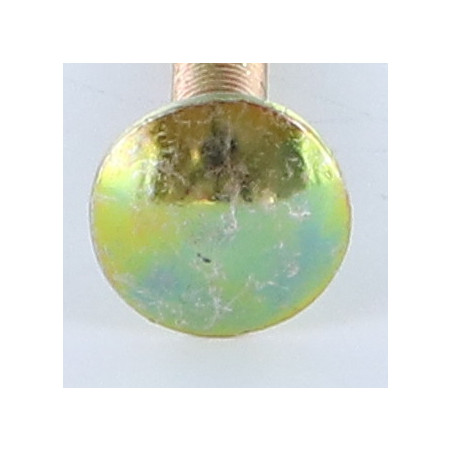 1 x TRCC JAPY tête ronde collet carré M10X20 Filetage total Bichromaté