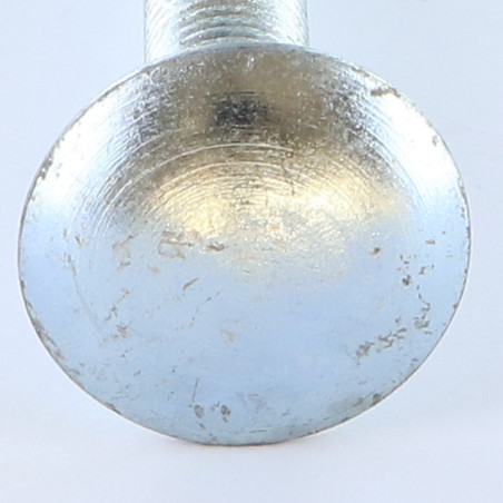 1 x TRCC JAPY tête ronde collet carré M12X150 Filetage total Acier zingué