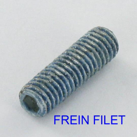 1 x Vis métaux Sans tête six pans creux (sthc) Clé de 3 HC3 M6X12 Bout plat Acier zingué + Frein filet