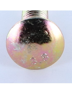 TRCC JAPY tête ronde collet carré M12X50 Collet bas... 2