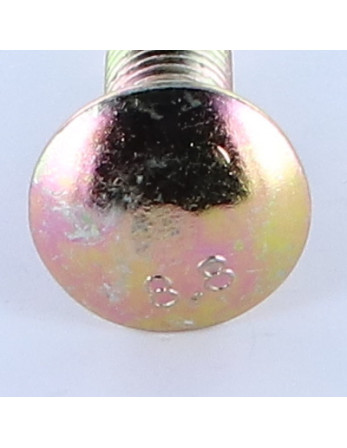 TRCC JAPY tête ronde collet carré M12X50 Collet bas Classe 8.8 Acier zingué 200 Heures brouillard salin sans