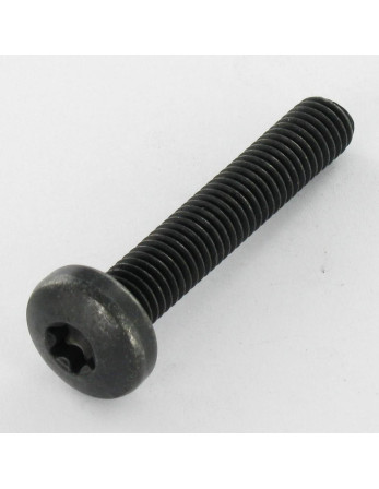 Vis métaux Tête bombée TORX T40 M8X45 Classe 10.9 Acier brut zingué nickel noir 480 hbs sans rouille rouge - Noir