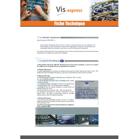 50 x Boulon (vendu avec Ecrou) Tête hexagonale TH M12X110 Classe 8.8 SB Forte tenue à la corrosion Acier galvanisé à