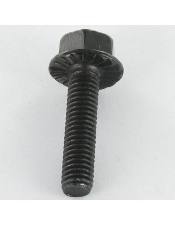 Vis métaux Tête hexagonale TH M6X12 Acier zingué noir Embase collerette crantée