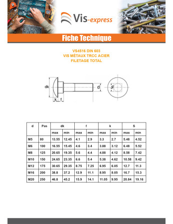 TRCC JAPY tête ronde collet carré M8X100 Filetage total Acier zingué