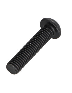 Vis métaux Tête bombée TORX T25 M5X35 Classe 10.9 Acier 2