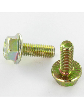 Vis métaux Tête hexagonale TH M6X8 Embase collerette crantée Classe 8.8 Bichromaté
