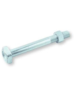 Boulon (vendu avec Ecrou) Charpente M18X160 Tête carrée...