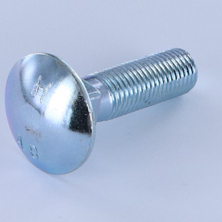 1 x TRCC JAPY tête ronde collet carré M16X50 Filetée sur 50 Classe 8.8 Acier zingué Diamètre de tête: 30 Carré 16