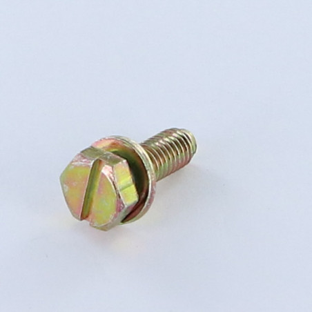 Vis métaux Tête hexagonal fendue M6X18 Avec Rondelle Bichromaté