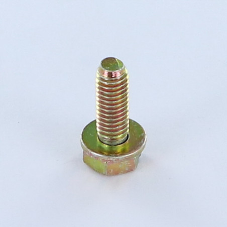 Vis métaux Tête hexagonal fendue M6X18 Avec Rondelle Bichromaté