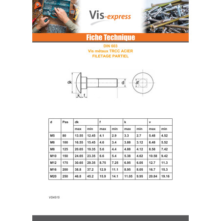 1 x TRCC JAPY tête ronde collet carré M10X200 Filetage partiel Acier zingué