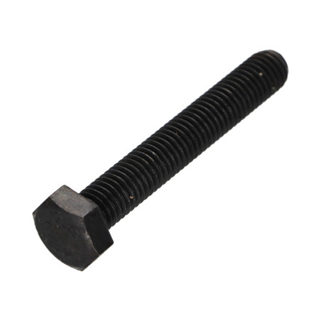 1 x Vis métaux Tête hexagonale TH M10X65 Classe 8.8 Acier brut