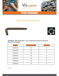 Clé Pour Vis Inviolable TORX T20 Acier brut 2