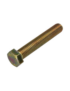 Vis métaux Tête hexagonale TH M12X70 Classe 8.8 Bichromaté