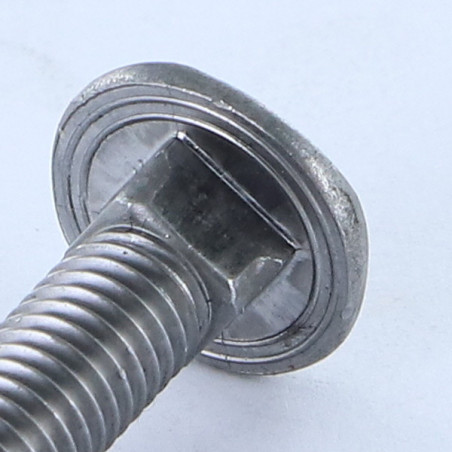 1 x TRCC JAPY tête ronde collet carré Tête DIAMANT M8X60 Acier brut
