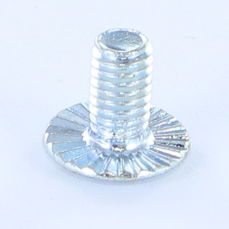 1 x Vis métaux Tête bombée Fendue Embase collerette crantée M6X10 Classe 8.8 Acier zingué