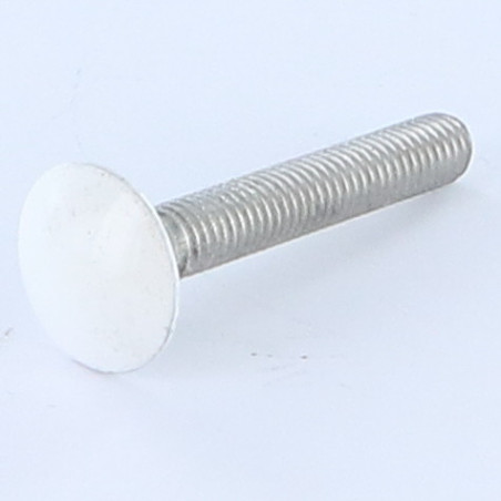 1 x TRCC JAPY tête ronde collet carré M6X50 Filetage total Aluminium Acier zingué Laqué blanc RAL9016 blanc