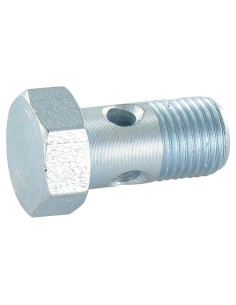 Vis creuse simple ou vis banjos Tête hexagonale TH M10X19...