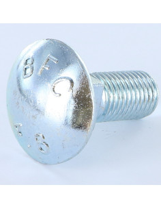 TRCC JAPY tête ronde collet carré M16X50 Filetage total...