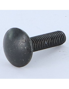 TRCC JAPY tête ronde collet carré M6X16 Filetage total...