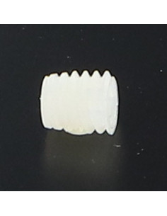 Vis métaux Nylon Sans tête six pans creux (sthc) M6X6...