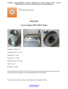 Ecrou à frapper M8X16 Diamètre de tête: 19 Acier zingué