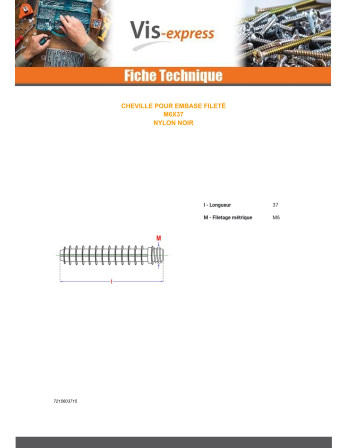 Cheville Fileté Pour Embase collerette M6X37 nylon noir