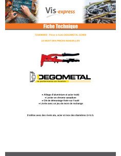 Riveteuse DEGOMETAL GO 980 2