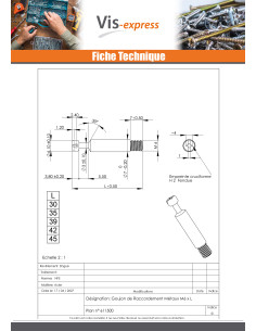 Goujon RACCORDEMENT Métaux 6X35 Acier zingué 2