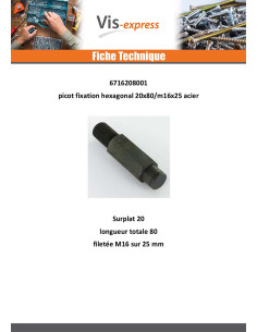 PICOT Fixation Hexagonal 20X80 Filetée sur M16X25 Acier brut 2