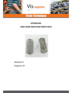 Axes 6X14 XC 18PB Acier brut MOLETAGE DROIT 2