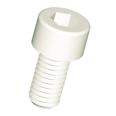 1 x Vis métaux CHC BTR Clé de 8 HC8 M10X12 nylon naturel
