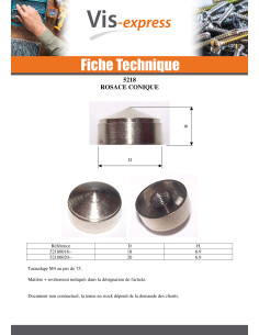 Rosace Conique Laiton 20 TB4/ 75 2